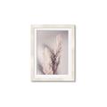 Picture of Enchanted Pampas Grass _GroupedProduct_Rectangle_Portrait_Photography _GroupedProduct_Rectangle_Portrait_Framed_Matted_