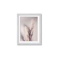 Picture of Enchanted Pampas Grass _GroupedProduct_Rectangle_Portrait_Photography _GroupedProduct_Rectangle_Portrait_Framed_Matted_