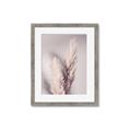 Picture of Enchanted Pampas Grass _GroupedProduct_Rectangle_Portrait_Photography _GroupedProduct_Rectangle_Portrait_Framed_Matted_