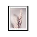 Picture of Enchanted Pampas Grass _GroupedProduct_Rectangle_Portrait_Photography _GroupedProduct_Rectangle_Portrait_Framed_Matted_