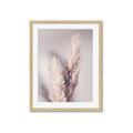 Picture of Enchanted Pampas Grass _GroupedProduct_Rectangle_Portrait_Photography _GroupedProduct_Rectangle_Portrait_Framed_Matted_