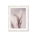 Picture of Enchanted Pampas Grass _GroupedProduct_Rectangle_Portrait_Photography _GroupedProduct_Rectangle_Portrait_Framed_Matted_