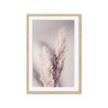 Picture of Enchanted Pampas Grass _GroupedProduct_Rectangle_Portrait_Photography _GroupedProduct_Rectangle_Portrait_Framed_Matted_