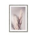 Picture of Enchanted Pampas Grass _GroupedProduct_Rectangle_Portrait_Photography _GroupedProduct_Rectangle_Portrait_Framed_Matted_