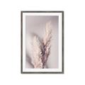 Picture of Enchanted Pampas Grass _GroupedProduct_Rectangle_Portrait_Photography _GroupedProduct_Rectangle_Portrait_Framed_Matted_