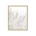 Picture of Grass straws _GroupedProduct_Rectangle_Portrait_Photography _GroupedProduct_Rectangle_Portrait_Framed_Matted_