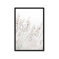 Picture of Grass straws _GroupedProduct_Rectangle_Portrait_Photography _GroupedProduct_Rectangle_Portrait_Framed_Matted_