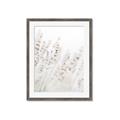 Picture of Grass straws _GroupedProduct_Rectangle_Portrait_Photography _GroupedProduct_Rectangle_Portrait_Framed_Matted_