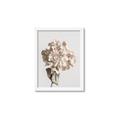 Picture of Lullaby of a Beige Flower _GroupedProduct_Rectangle_Portrait_Photography _GroupedProduct_Rectangle_Portrait_Framed_Matted_