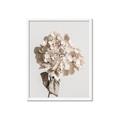 Picture of Lullaby of a Beige Flower _GroupedProduct_Rectangle_Portrait_Photography _GroupedProduct_Rectangle_Portrait_Framed_Matted_
