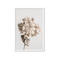 Picture of Lullaby of a Beige Flower _GroupedProduct_Rectangle_Portrait_Photography _GroupedProduct_Rectangle_Portrait_Framed_Matted_
