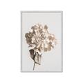 Picture of Lullaby of a Beige Flower _GroupedProduct_Rectangle_Portrait_Photography _GroupedProduct_Rectangle_Portrait_Framed_Matted_