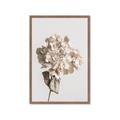 Picture of Lullaby of a Beige Flower _GroupedProduct_Rectangle_Portrait_Photography _GroupedProduct_Rectangle_Portrait_Framed_Matted_