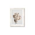 Picture of Lullaby of a Beige Flower _GroupedProduct_Rectangle_Portrait_Photography _GroupedProduct_Rectangle_Portrait_Framed_Matted_