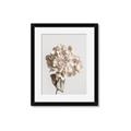 Picture of Lullaby of a Beige Flower _GroupedProduct_Rectangle_Portrait_Photography _GroupedProduct_Rectangle_Portrait_Framed_Matted_