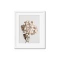 Picture of Lullaby of a Beige Flower _GroupedProduct_Rectangle_Portrait_Photography _GroupedProduct_Rectangle_Portrait_Framed_Matted_