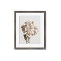Picture of Lullaby of a Beige Flower _GroupedProduct_Rectangle_Portrait_Photography _GroupedProduct_Rectangle_Portrait_Framed_Matted_