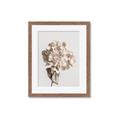 Picture of Lullaby of a Beige Flower _GroupedProduct_Rectangle_Portrait_Photography _GroupedProduct_Rectangle_Portrait_Framed_Matted_