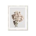 Picture of Lullaby of a Beige Flower _GroupedProduct_Rectangle_Portrait_Photography _GroupedProduct_Rectangle_Portrait_Framed_Matted_