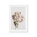 Picture of Lullaby of a Beige Flower _GroupedProduct_Rectangle_Portrait_Photography _GroupedProduct_Rectangle_Portrait_Framed_Matted_