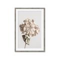 Picture of Lullaby of a Beige Flower _GroupedProduct_Rectangle_Portrait_Photography _GroupedProduct_Rectangle_Portrait_Framed_Matted_