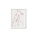 Picture of Ballet of Floral Shadows _GroupedProduct_Rectangle_Portrait_Photography _GroupedProduct_Rectangle_Portrait_Framed_Matted_