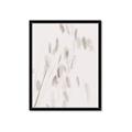 Picture of Ballet of Floral Shadows _GroupedProduct_Rectangle_Portrait_Photography _GroupedProduct_Rectangle_Portrait_Framed_Matted_