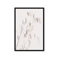 Picture of Ballet of Floral Shadows _GroupedProduct_Rectangle_Portrait_Photography _GroupedProduct_Rectangle_Portrait_Framed_Matted_