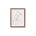 Picture of Ballet of Floral Shadows _GroupedProduct_Rectangle_Portrait_Photography _GroupedProduct_Rectangle_Portrait_Framed_Matted_