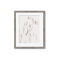 Picture of Ballet of Floral Shadows _GroupedProduct_Rectangle_Portrait_Photography _GroupedProduct_Rectangle_Portrait_Framed_Matted_