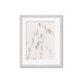 Picture of Ballet of Floral Shadows _GroupedProduct_Rectangle_Portrait_Photography _GroupedProduct_Rectangle_Portrait_Framed_Matted_