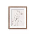 Picture of Ballet of Floral Shadows _GroupedProduct_Rectangle_Portrait_Photography _GroupedProduct_Rectangle_Portrait_Framed_Matted_
