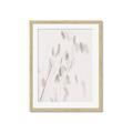 Picture of Ballet of Floral Shadows _GroupedProduct_Rectangle_Portrait_Photography _GroupedProduct_Rectangle_Portrait_Framed_Matted_