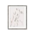 Picture of Ballet of Floral Shadows _GroupedProduct_Rectangle_Portrait_Photography _GroupedProduct_Rectangle_Portrait_Framed_Matted_