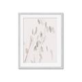 Picture of Ballet of Floral Shadows _GroupedProduct_Rectangle_Portrait_Photography _GroupedProduct_Rectangle_Portrait_Framed_Matted_