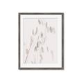 Picture of Ballet of Floral Shadows _GroupedProduct_Rectangle_Portrait_Photography _GroupedProduct_Rectangle_Portrait_Framed_Matted_