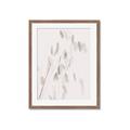 Picture of Ballet of Floral Shadows _GroupedProduct_Rectangle_Portrait_Photography _GroupedProduct_Rectangle_Portrait_Framed_Matted_