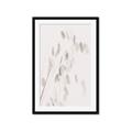 Picture of Ballet of Floral Shadows _GroupedProduct_Rectangle_Portrait_Photography _GroupedProduct_Rectangle_Portrait_Framed_Matted_