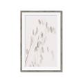 Picture of Ballet of Floral Shadows _GroupedProduct_Rectangle_Portrait_Photography _GroupedProduct_Rectangle_Portrait_Framed_Matted_