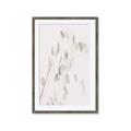 Picture of Ballet of Floral Shadows _GroupedProduct_Rectangle_Portrait_Photography _GroupedProduct_Rectangle_Portrait_Framed_Matted_