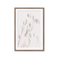 Picture of Ballet of Floral Shadows _GroupedProduct_Rectangle_Portrait_Photography _GroupedProduct_Rectangle_Portrait_Framed_Matted_