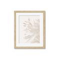 Picture of An Echo of Leaves _GroupedProduct_Rectangle_Portrait_Photography _GroupedProduct_Rectangle_Portrait_Framed_Matted_