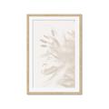 Picture of An Echo of Leaves _GroupedProduct_Rectangle_Portrait_Photography _GroupedProduct_Rectangle_Portrait_Framed_Matted_