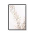 Picture of Earthy Flora Straws _GroupedProduct_Rectangle_Portrait_Photography _GroupedProduct_Rectangle_Portrait_Framed_Matted_