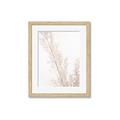 Picture of Earthy Flora Straws _GroupedProduct_Rectangle_Portrait_Photography _GroupedProduct_Rectangle_Portrait_Framed_Matted_