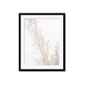Picture of Earthy Flora Straws _GroupedProduct_Rectangle_Portrait_Photography _GroupedProduct_Rectangle_Portrait_Framed_Matted_