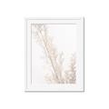 Picture of Earthy Flora Straws _GroupedProduct_Rectangle_Portrait_Photography _GroupedProduct_Rectangle_Portrait_Framed_Matted_