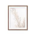 Picture of Earthy Flora Straws _GroupedProduct_Rectangle_Portrait_Photography _GroupedProduct_Rectangle_Portrait_Framed_Matted_