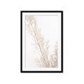 Picture of Earthy Flora Straws _GroupedProduct_Rectangle_Portrait_Photography _GroupedProduct_Rectangle_Portrait_Framed_Matted_