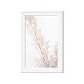 Picture of Earthy Flora Straws _GroupedProduct_Rectangle_Portrait_Photography _GroupedProduct_Rectangle_Portrait_Framed_Matted_